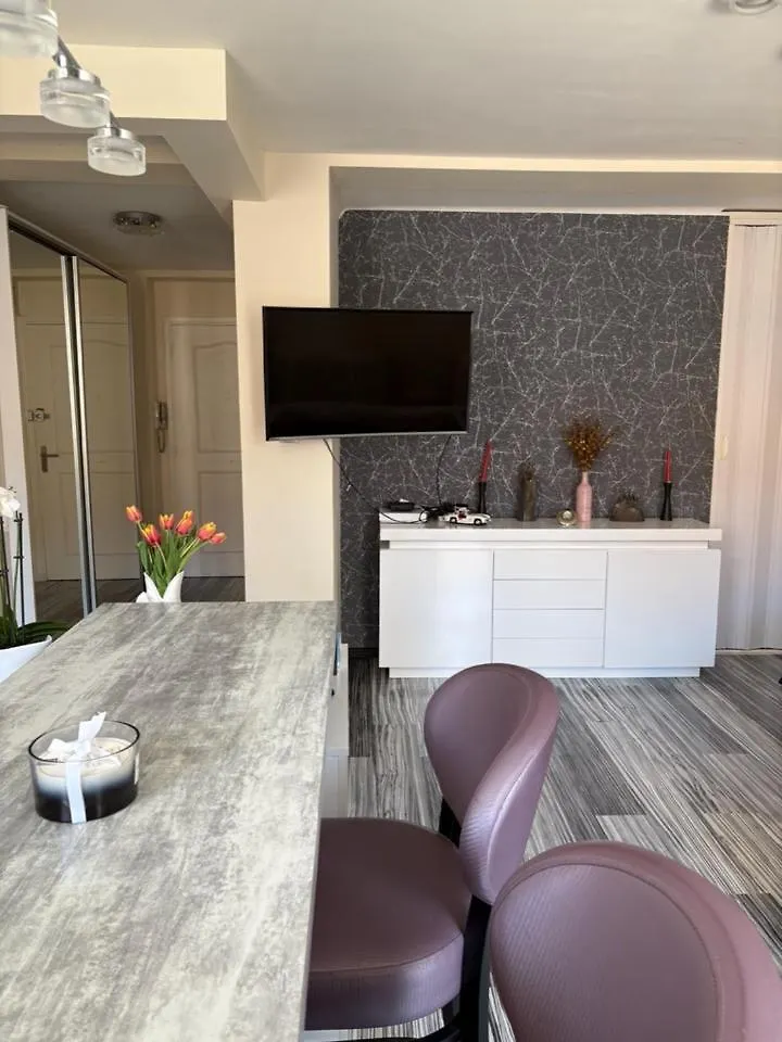 Elegant Apartment Terrace Port Of نيس فرنسا